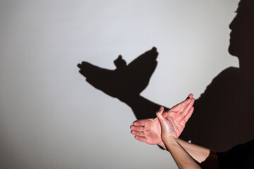 play shadow projected against a white background. pigeon