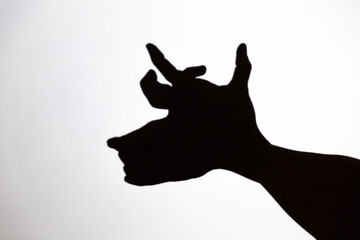 play shadow projected against a white background, rudolf reindeer