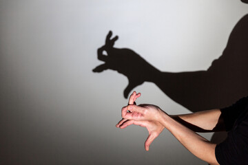 play shadow projected against a white background. a rabbit.