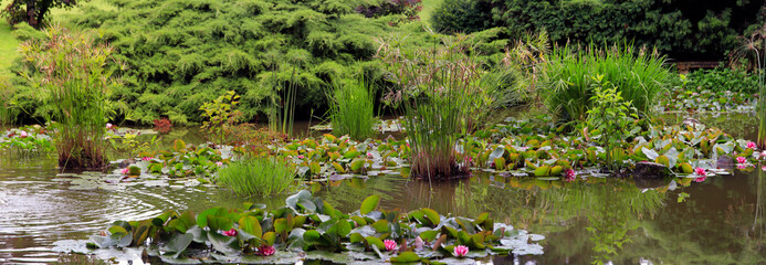 Fototapeta na wymiar Großer Gartenteich mit vielen Pflanzen, Panorama