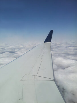 Wing of airplane