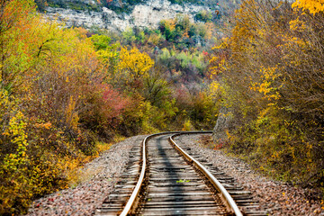 Obraz premium Russian Straight Railway with trees. Landscape with railroad, summer time traveling, freedom of movement.