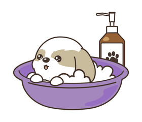 子犬の入浴　シャンプーボトル　シーズー