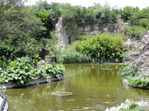 Japanese garden pond
