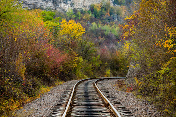 Russian Straight Railway with trees. Landscape with railroad, summer time traveling, freedom of movement.