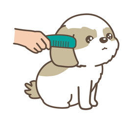 子犬をブラッシング　ペットトリミング　シーズー