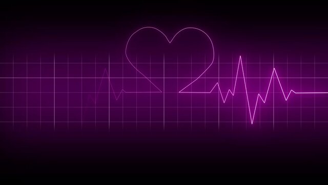Purple concept animation of an ECG , EKG heartbeat cardiogram forming the shape of an heart