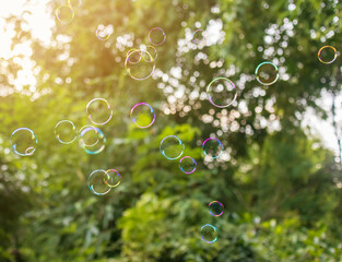 Many large bubbles floating up to the sky. Trees are visible in the background