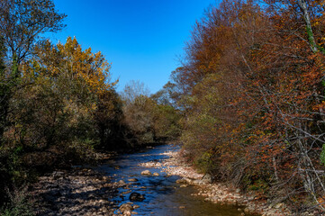 Autumn landscape with mountain dry brook and forest