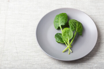 Fresh spinach leaves on a grey plate on a linen tablecloth