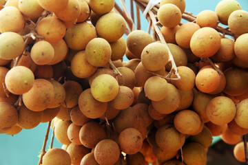 Fruits market, Parnamirim, Rio Grande do Norte, Brazil