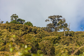 Costa Rica beautiful nature