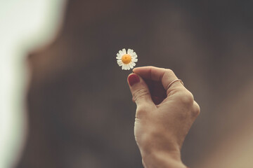 person with flower in hand