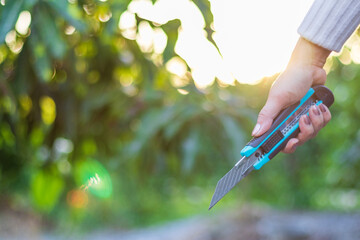 Hand holding blue cutter Knife on green natural blur background.