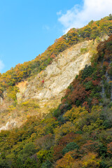 紅葉した井倉峡