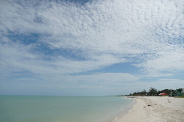 Celestún, Yucatán, mexico, flamingos, sunset, sea, gulf of mexico, laguna, sun, water, mangroves, sky, trees