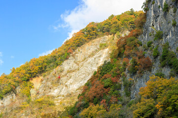 紅葉した井倉峡