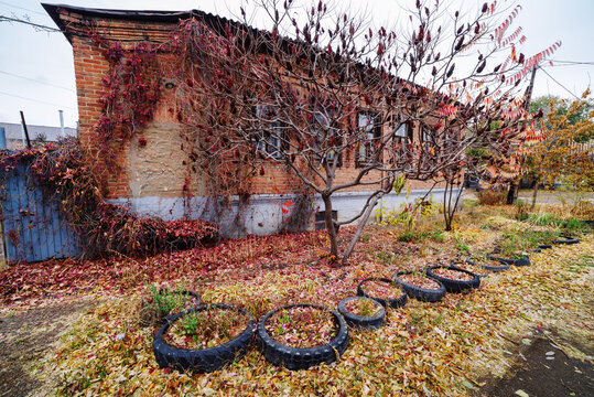 Fallen leaves on a city street near an old house. The picture was taken in Russia, in Orenburg