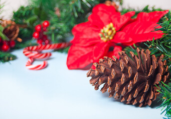 Christmas decoration with poinsettia flower, cone, candy cane and Christmas tree branch. Copy space.