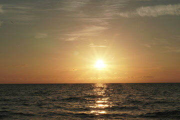 Celestún, Yucatán, mexico, flamingos, sunset, sea, gulf of mexico, laguna, sun, water, mangroves, sky, trees
