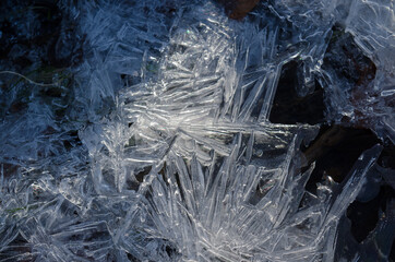 Ice pattern on sun lite spot with veins of solid ice crystal spires reaching across a puddle in early winter.
