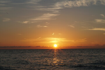 Celestún, Yucatán, mexico, flamingos, sunset, sea, gulf of mexico, laguna, sun, water, mangroves, sky, trees