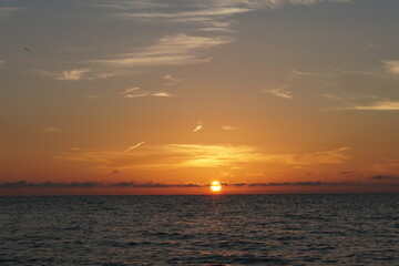 Celestún, Yucatán, mexico, flamingos, sunset, sea, gulf of mexico, laguna, sun, water, mangroves, sky, trees