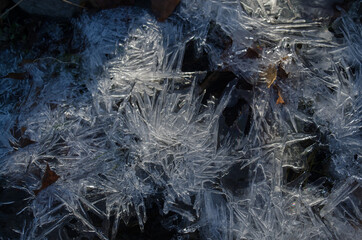 Ice crystals span across an early winter puddle showing patterns of icicles and solid white spires.