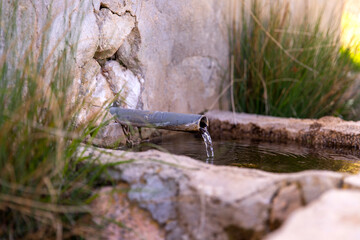 Natural spring water flowing from the pipe and the water trough.