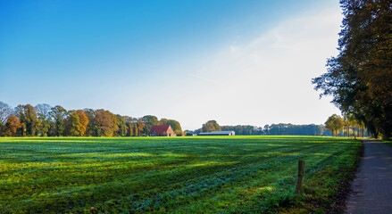 Rural landscape in autumn colors near Winterswijk, Netherlands
