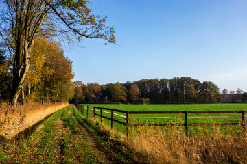 Fototapeta premium Rural landscape in autumn colors near Winterswijk, Netherlands 