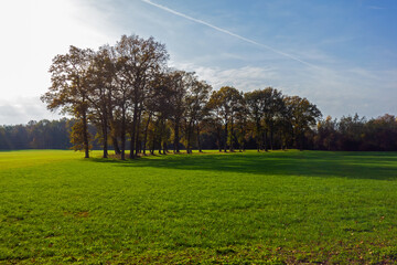 Rural landscape in autumn colors near Winterswijk, Netherlands
