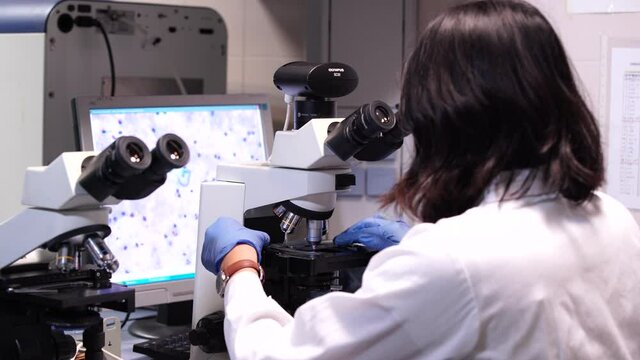 Female scientist placing sample under microscope objective. Examining accurately