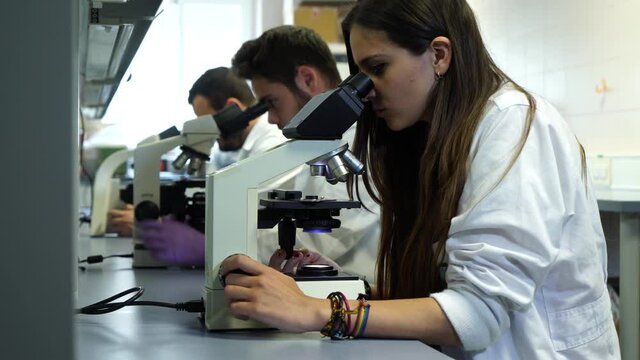 Researchers examine microorganism on microscope. Scientists analyzing samples