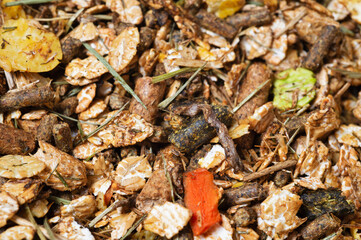 background of natural   basic muesli  for sportive horse. nutrient equestrian concept