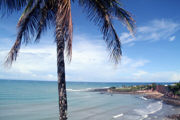 Baia dos Golfinhos, Tibau do Sul, Rio Grande do Norte, Brazil