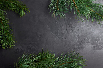 Christmas background with pine tree branches ob dark