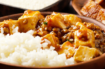 Authentic traditional Chinese food mapo tofu dish with pork and steamed rice closeup