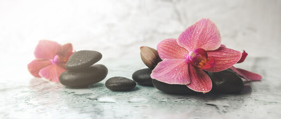 alternative therapy. orchid flowers with black stones on marble background. banner