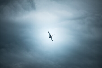 fighting jet f-16 in the cloudy sky ready to disappear into the horizon.