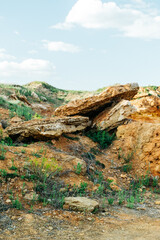 Obraz premium landscape with sky