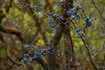 Beautiful rural landscape in Europe, Amazing nature in autumn.