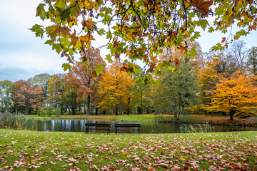 Obraz premium Autumn trees alley with colorful leaves in the park