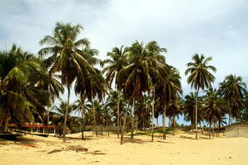 Fototapeta na wymiar Zumbi beach, Rio do Fogo, Rio Grande do Norte, Brazil