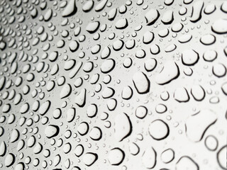 water drops close up