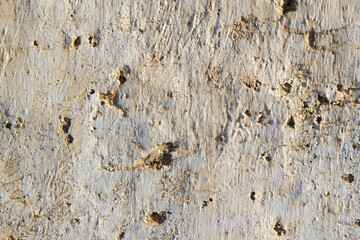 Old surface for the backdrop. Color - light brown shades. Grooves, cracks, scratches.
Описание (на английском языке)