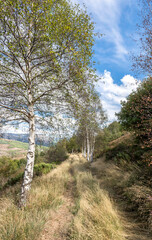 PATH IN THE MOUNTAIN