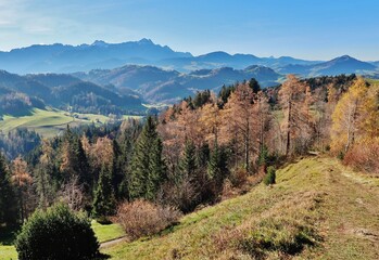 Obraz premium Herbstlandschaft vor Gebirgskulisse, Ostschweiz 