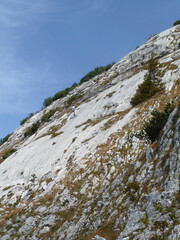 Hiking tour Ross- and Buchstein mountain, Tegernsee, Bavaria, Germany