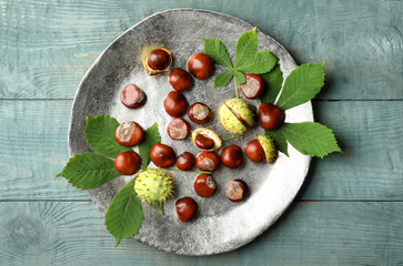 Horse chestnuts and leaves on blue wooden table, top view